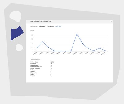 Visitor Analytics