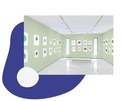 Exhibition Design