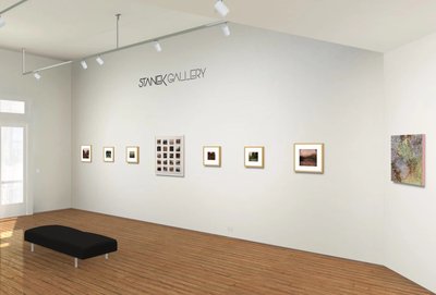 Stanek Gallery Installation Shot